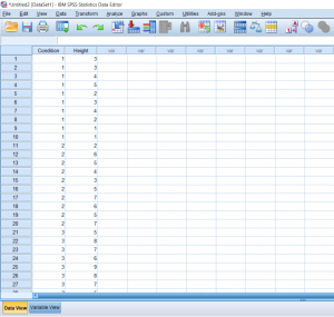Screenshot of SPSS document