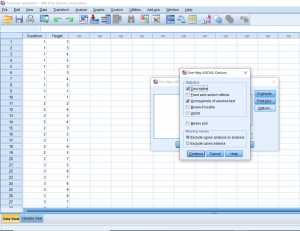 Screenshot of SPSS document